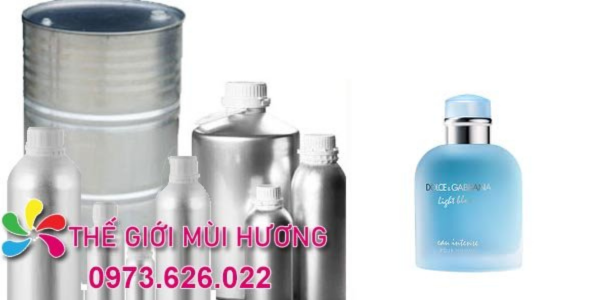 sỉ tinh dầu D&G Light Blue