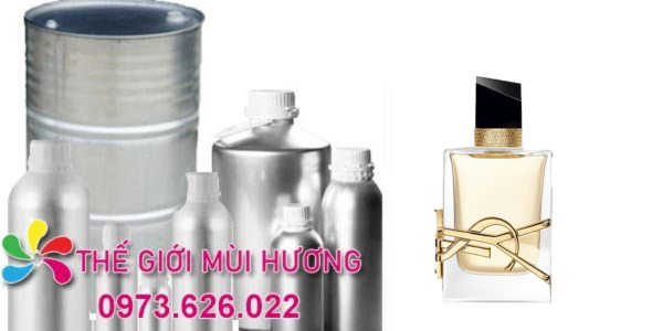 Sỉ tinh dầu YSL Libre