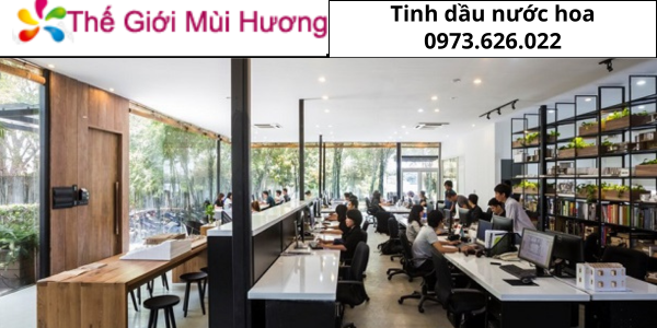 giải pháp mùi hương văn phòng